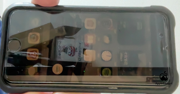 筆者使用iPhone