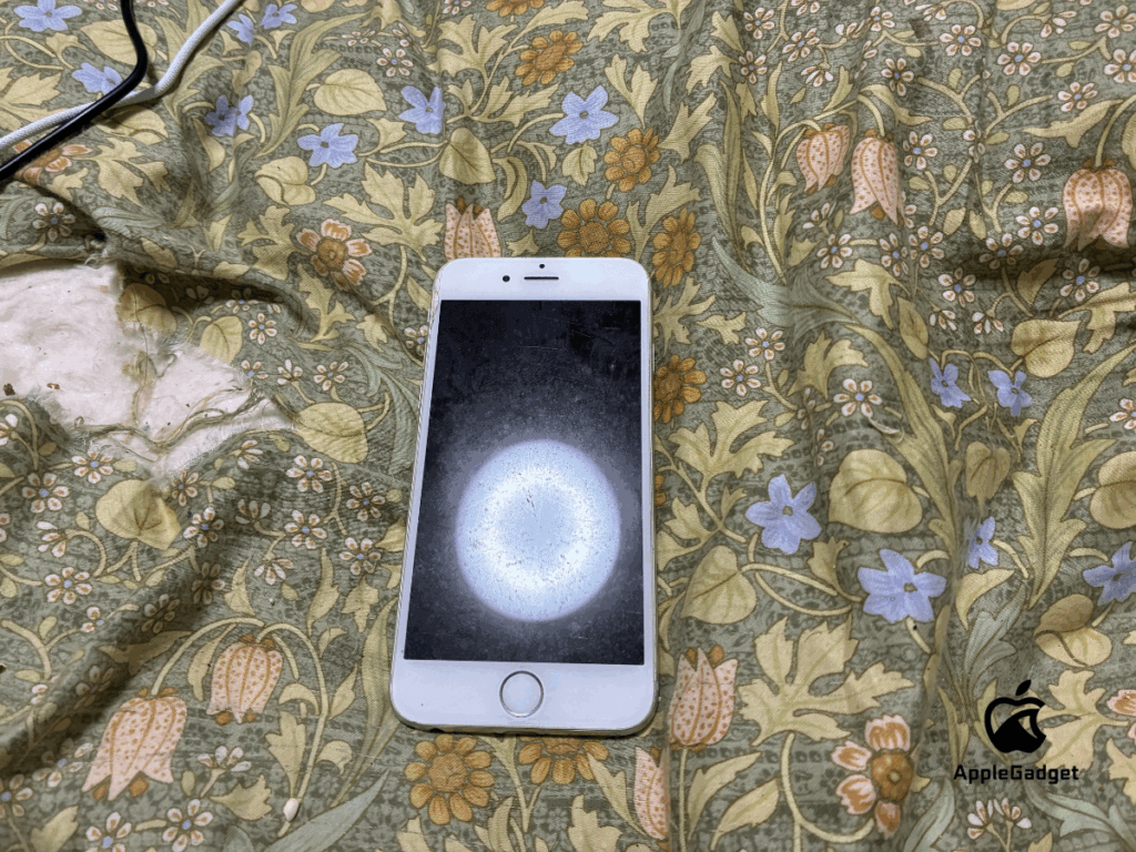 筆者利用iPhone6筐体