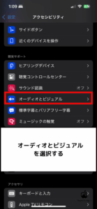 オーディオとビジュアルをタップする